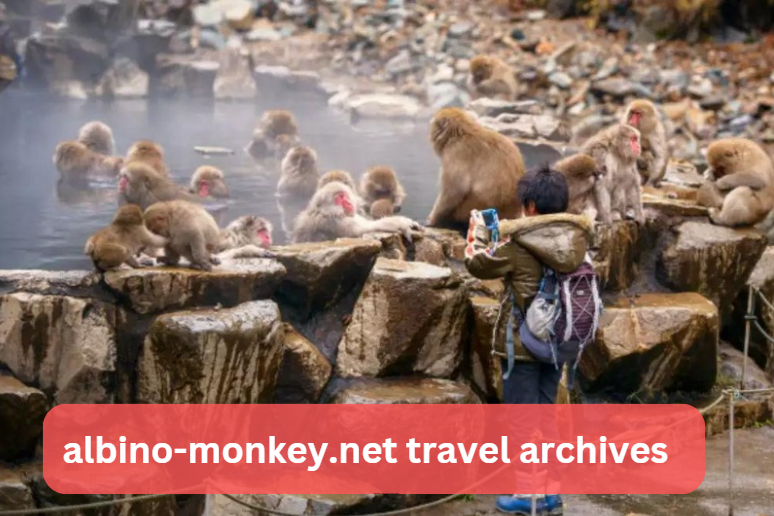 albino-monkey.net travel archives