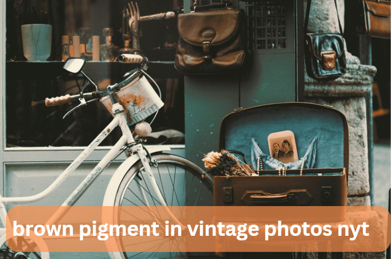 brown pigment in vintage photos nyt