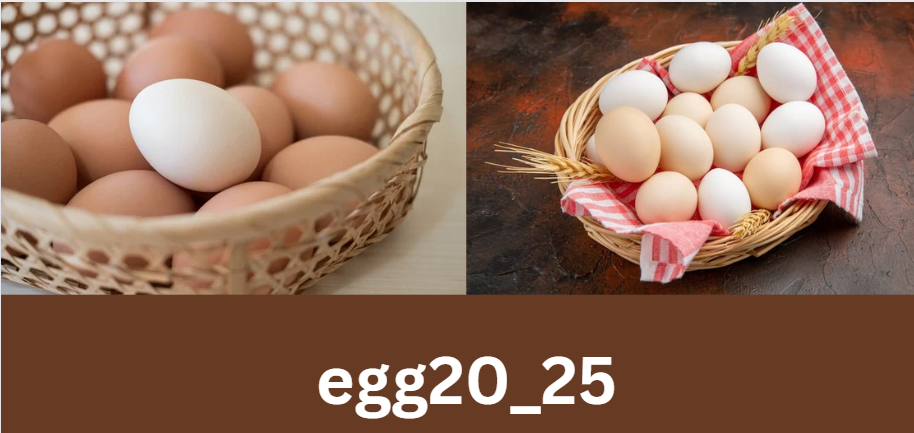 egg20_25