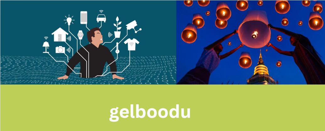 gelboodu