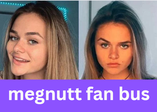 megnutt fan bus