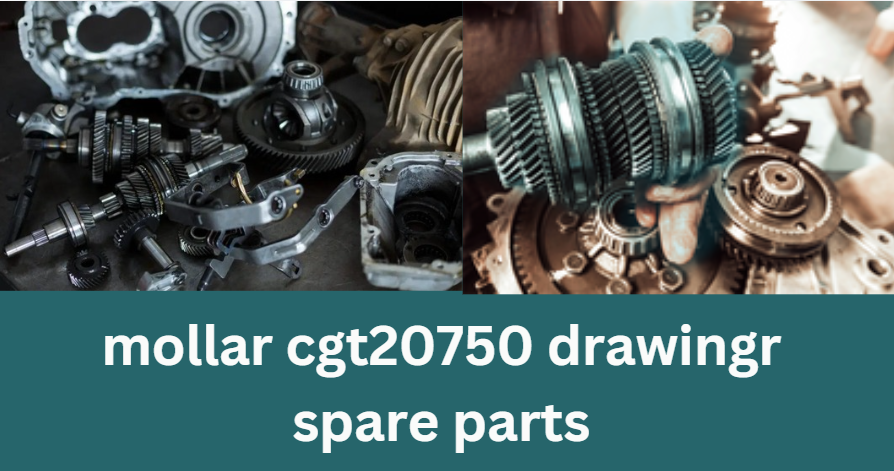 mollar cgt20750 drawingr spare parts