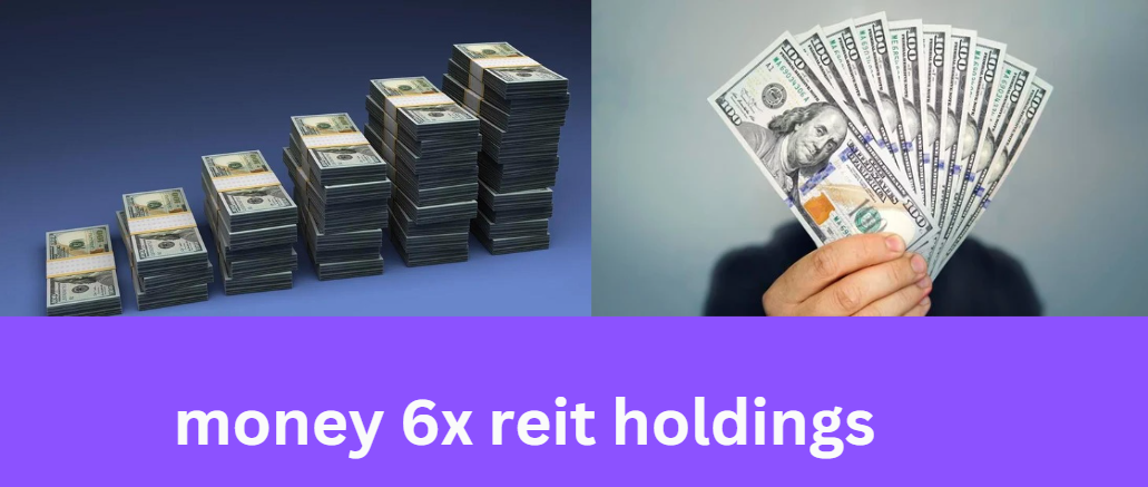 money 6x reit holdings