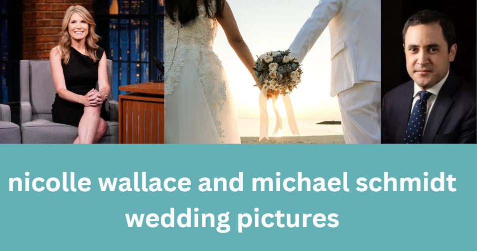 nicolle wallace and michael schmidt wedding pictures