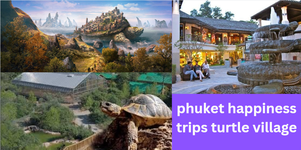 phuket happiness trips turtle village